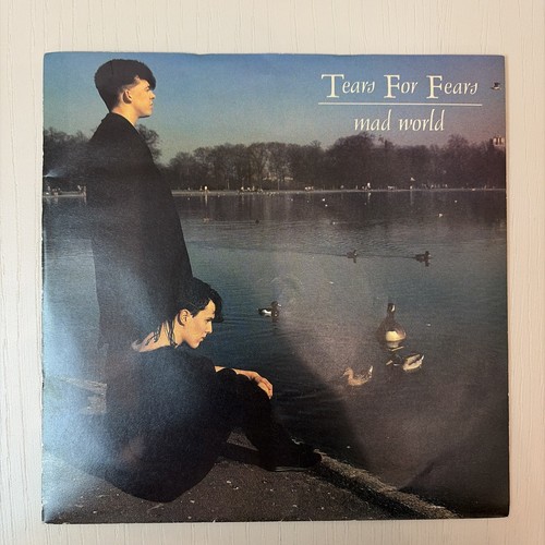 Tears for fears - fears, 1982